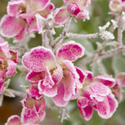 Похолодання, весна, погода, зображення з вільних джерел