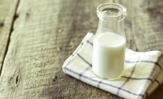  Вред и польза кефирной диеты