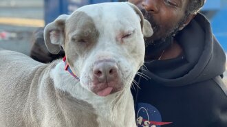 Рискнул жизнью и стал героем: бездомный спас всех животных из горящего приюта в Атланте