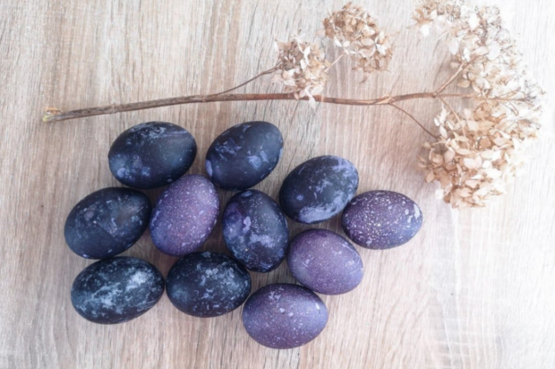 Фіолетові крашанки, кадр з відео