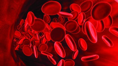 Вчені назвали найбільш "невдалу" групу крові