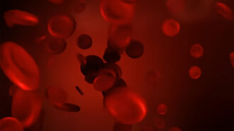 Кровь, группа крови. Фото: youtube.com