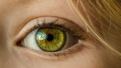 Рак: два признака в глазах, которые сигнализируют о злокачественных опухолях, возникших в других органах