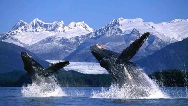 природа, природа Аляски, потрясающие фото