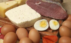 белковые продукты