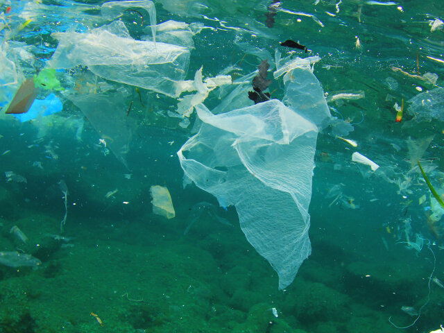 Мировой океан уже перенасыщен различными пластиковыми отходами