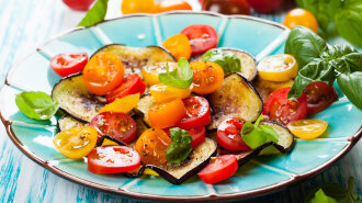 Eggplant and tomato salad