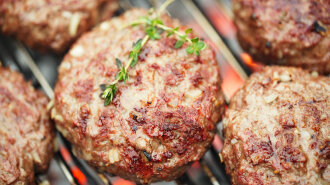 food meat — beef burgers on bbq barbecue with grill flame