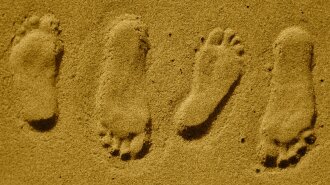 Доктор Комаровский рассказал, как хождение по песку влияет на здоровье