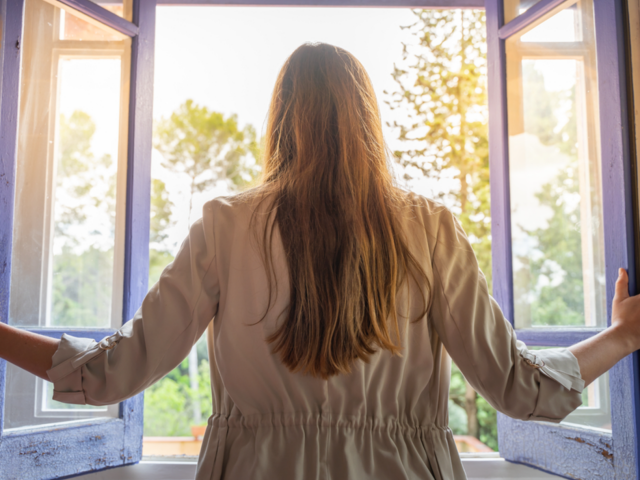 Вікно, провітрювання, зображення зі вільних інтересів