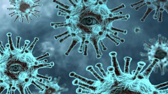 "Коронавірус може ніколи не зникнути" - приголомшлива заява ВООЗ
