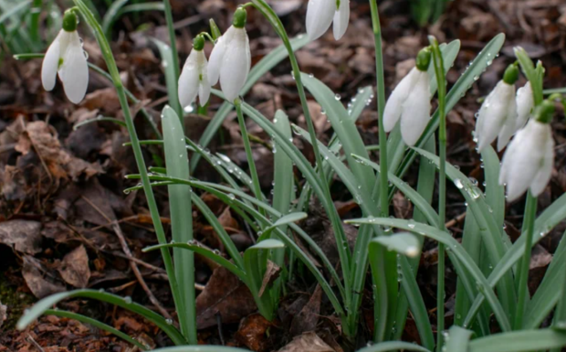 Весна, погода, фото: majborodinruslan1990/depositphotos