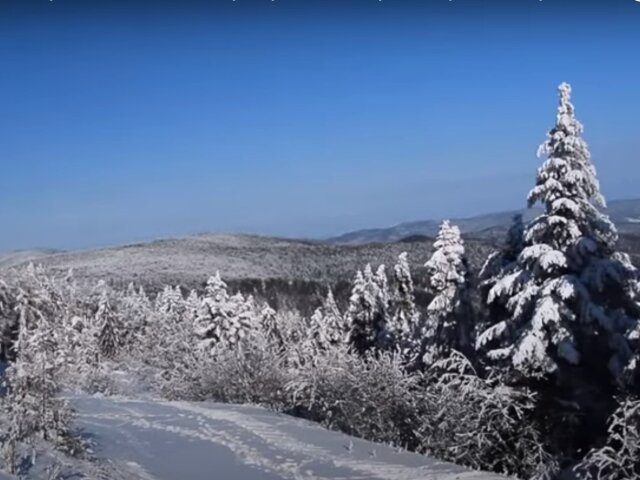 Зима. Фото: youtube.com
