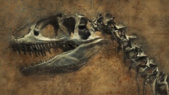Вчені виявили тварину, яка жила ще при динозаврах. Цей вид зберігся до сьогодні