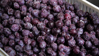 Як правильно заморозити ягоди: всі вітаміни на місці і смак наче свіжі