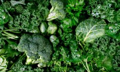 весенняя зелень