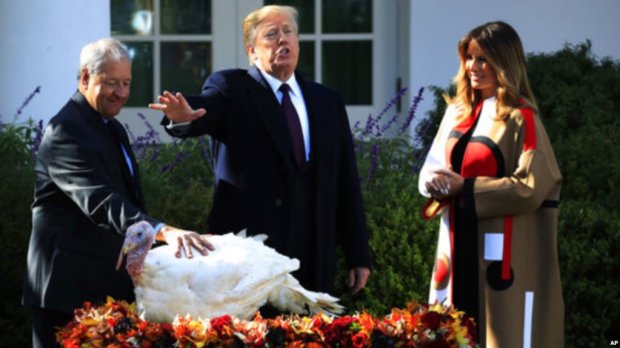 Дональд и Мелания Трамп на церемонии помилования индейки