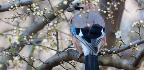 Весна, погода, фото із соцмереж