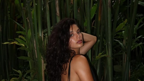 Мишель Андраде