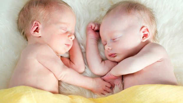 Багато дівчат мріють стати мамами близнюків