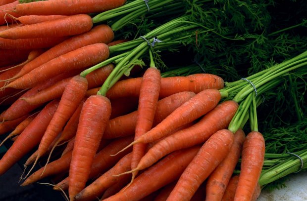 Утолит боль и снимет усталость: полезные свойства моркови, о которых мало кто знает