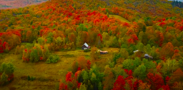 Осінь, гороскоп