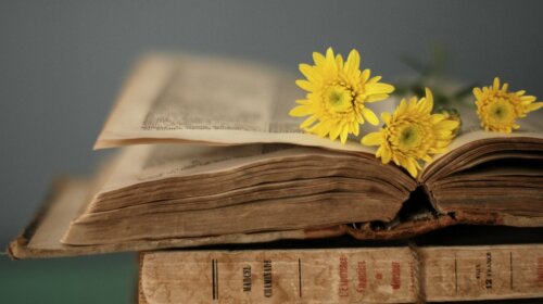 Yellow-flowers-on-the-old-book