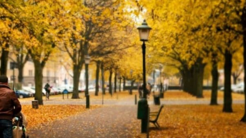 Осень, погода, гороскоп