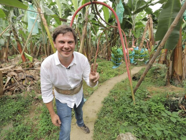 Дмитро Комаров покаже, як вирощують банани для експорту в Україну
