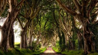 природа, природа Ирландии, красивый фото