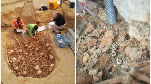 Во Франции археологи обнаружили склеп эпохи неолита