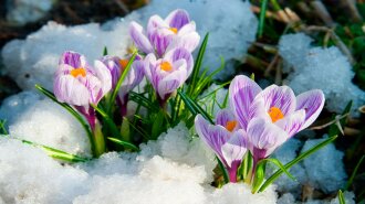 Будет ли в Украине потепление: синоптик дала точный прогноз погоды на 5 марта
