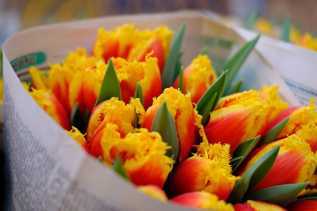 Як вибрати і продовжити життя букету квітів