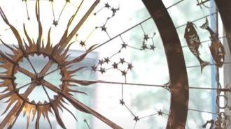 Гороскоп, знаки Зодиака