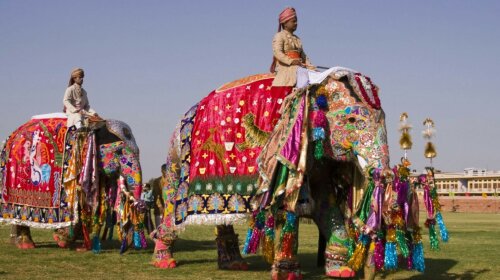 На Шри-Ланке во время фестиваля слоны растоптали людей