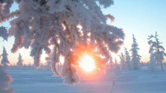 зимнее солнцестояние, самый короткий день в году, традиции и обряды