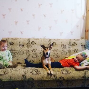 Photo by Заир on April 29, 2020. Image may contain: 1 person, dog and indoor