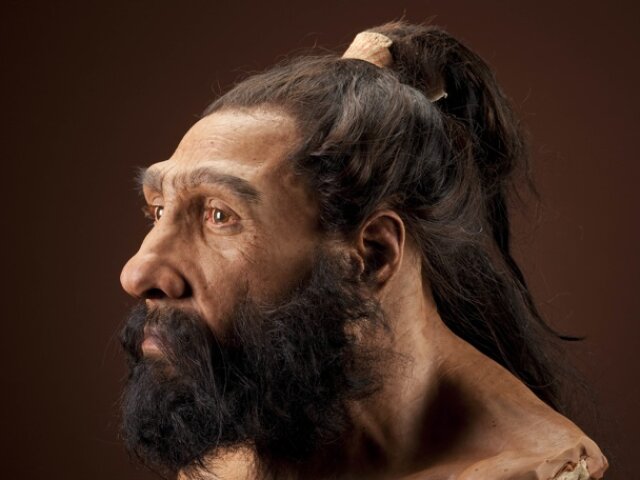 Homo neanderthalensis adult male.  Reconstruction based on Shanidar 1 by John Gurche for the Human O