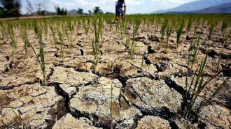 В ООН предрекли начало большой засухи на планете: голодать будут все