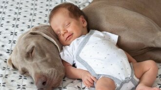 Милота зашкаливает: фото младенцев с собаками