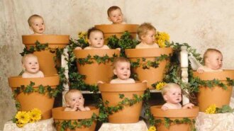 Funny_wallpapers_Children_grow_in_pots_082945_