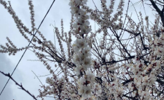 Весна, гороскоп, погода