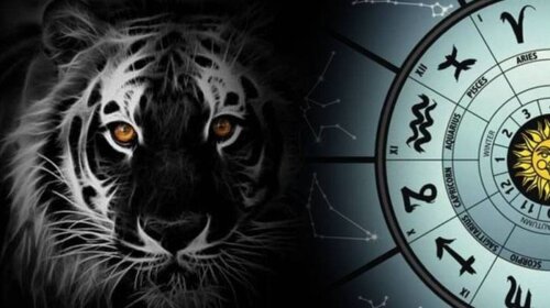 Чорний Тигр не обіцяє нічого хорошого: Павло Глоба назвав знаки Зодіаку, яким не пощастить в 2022 році