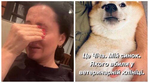 Даша Астафьева в слезах сообщила о смерти любимца