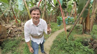 Дмитро Комаров покаже, як вирощують банани для експорту в Україну