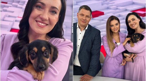 Конфуз в прямом эфире: Витвицкая показала, как щенок нагадил на стол ведущих 1+1 (видео)
