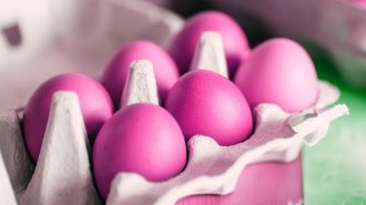 Рожеві крашанки, кадр з відео