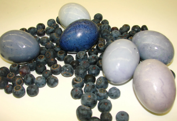 Фіолетові крашанки, кадр з відео