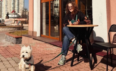 Потепління, песик, погода, фото з соцмереж