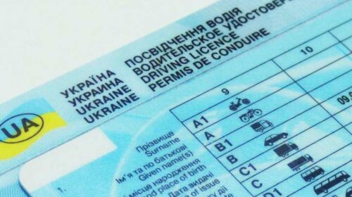 В Украине водители смогут ездить без прав: подробности нововведения